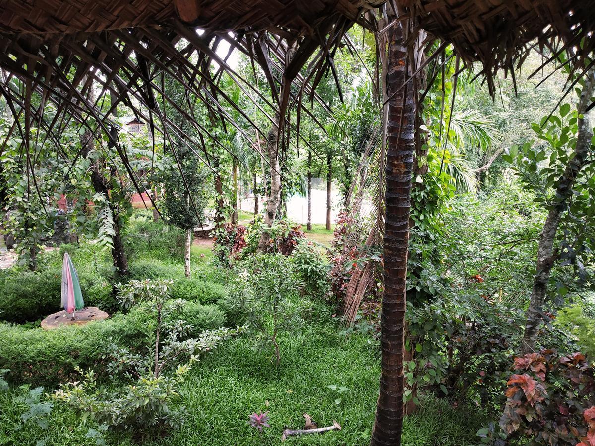 Pepper Green Wayanad Resort With Swimming Pool Kattikkulam Екстер'єр фото