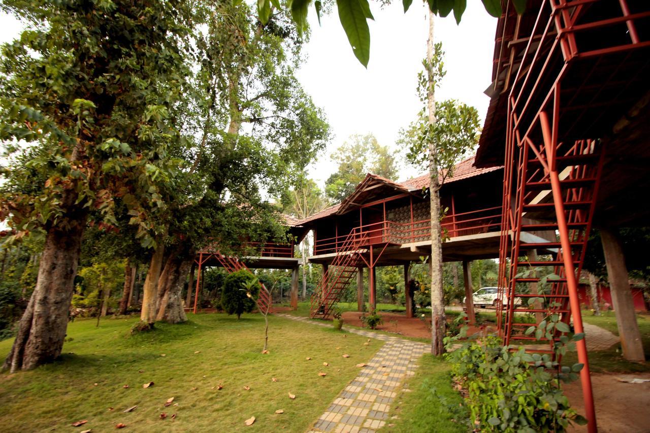 Pepper Green Wayanad Resort With Swimming Pool Kattikkulam Екстер'єр фото
