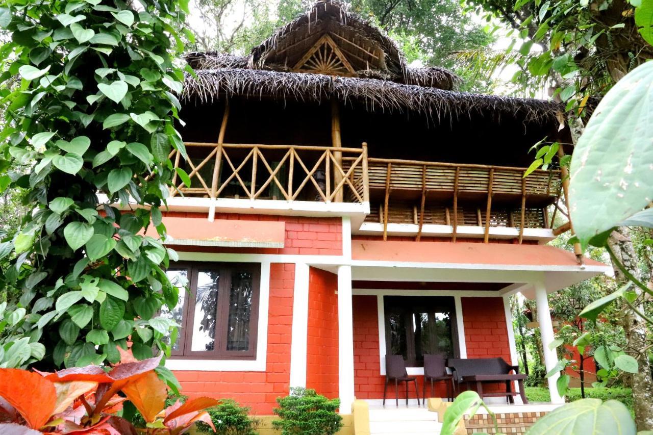Pepper Green Wayanad Resort With Swimming Pool Kattikkulam Екстер'єр фото