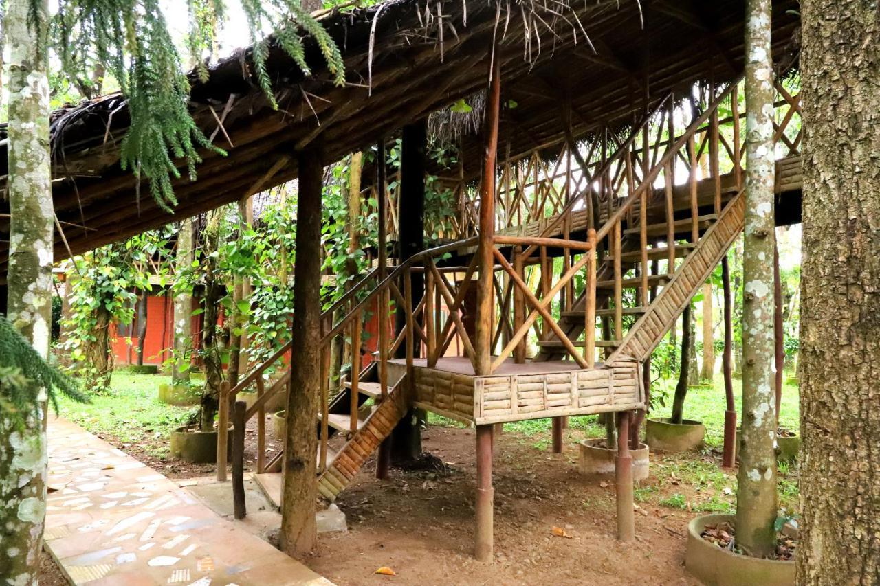 Pepper Green Wayanad Resort With Swimming Pool Kattikkulam Екстер'єр фото