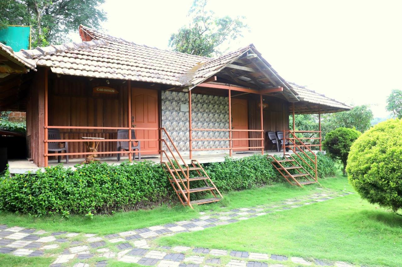 Pepper Green Wayanad Resort With Swimming Pool Kattikkulam Екстер'єр фото