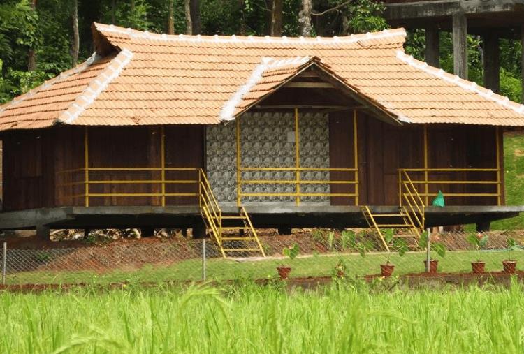 Pepper Green Wayanad Resort With Swimming Pool Kattikkulam Екстер'єр фото